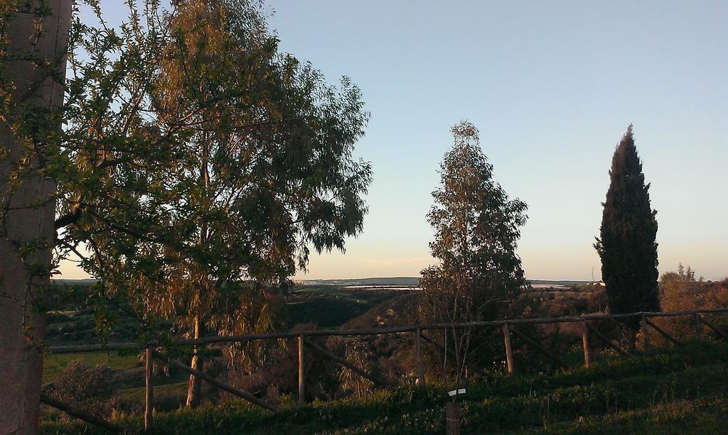 ג'ינוזה Masseria Strada Agriturismo מראה חיצוני תמונה
