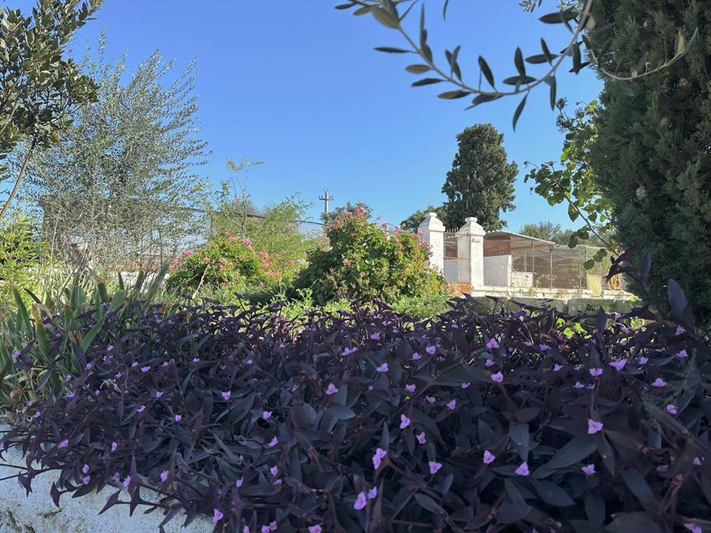 ג'ינוזה Masseria Strada Agriturismo מראה חיצוני תמונה