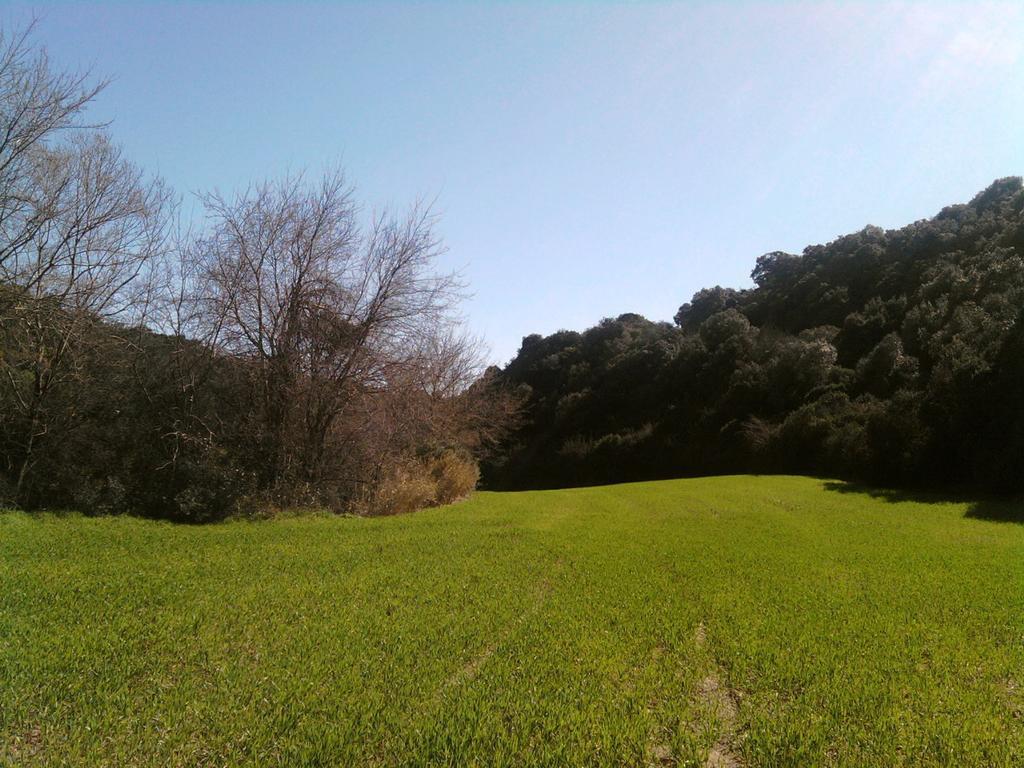 ג'ינוזה Masseria Strada Agriturismo מראה חיצוני תמונה